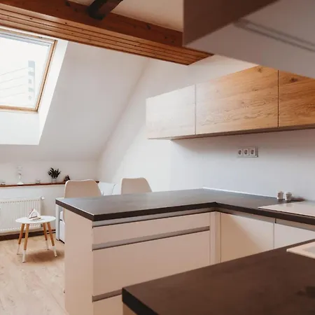 公寓 Loft In Old Town - Ac & Netflix 科希策
