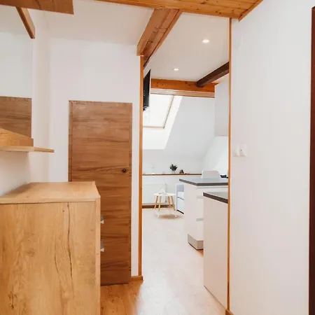 Loft In Old Town - Ac & Netflix 公寓 科希策